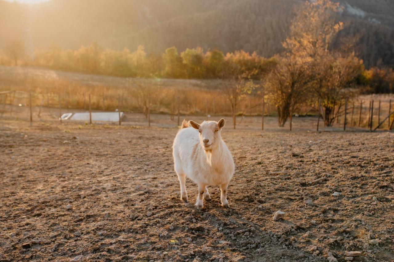 Farm stay Agriturismo Le Piagge Ponzone